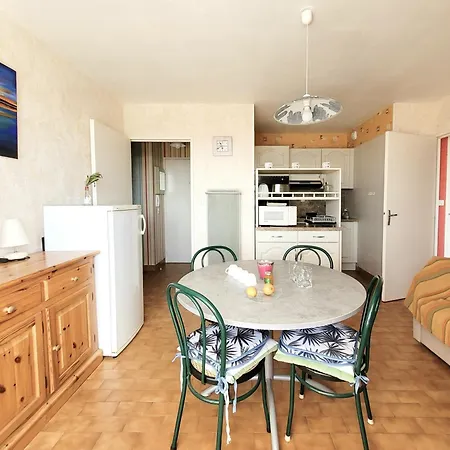 Apartmán T3, 5e Etage, Vue Et Canigou - Fr-1-794-113 *