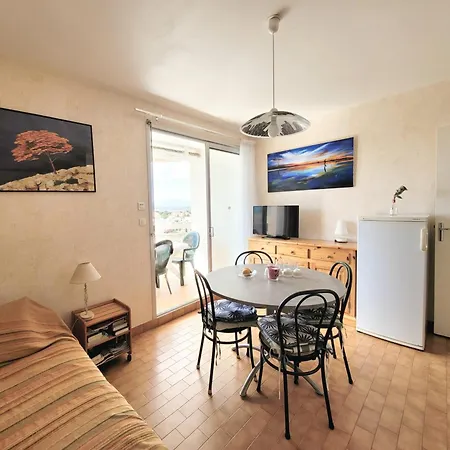 T3, 5e Etage, Vue Et Canigou - Fr-1-794-113 *