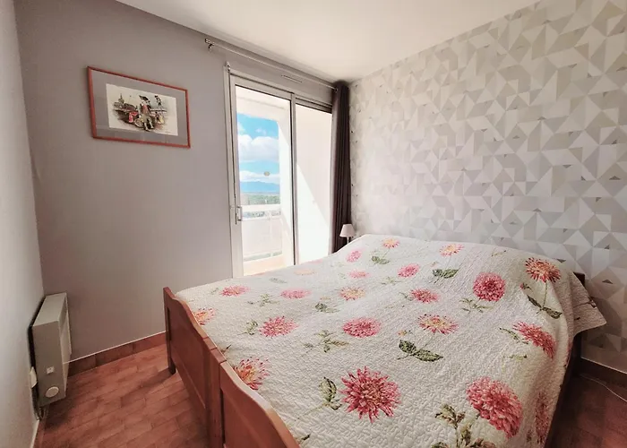 Lejlighed T3, 5e Etage, Vue Et Canigou - Fr-1-794-113