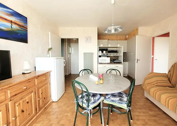 Lejlighed T3, 5e Etage, Vue Et Canigou - Fr-1-794-113 *