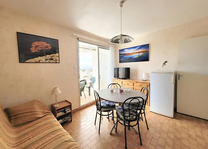 T3, 5e Etage, Vue Et Canigou - Fr-1-794-113 *